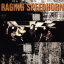 Обложка песни Raging Speedhorn - Random Acts Of Violence аккорды