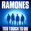 Обложка песни Ramones - Too Tough To Die аккорды