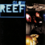 Обложка песни Reef - Come Back Brighter аккорды