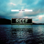 Обложка песни Reef - Undone And Sober аккорды
