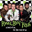 Обложка песни Reel Big Fish - Where Have You Been аккорды