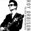 Обложка песни Roy Orbison - Born To Love Me аккорды