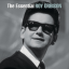 Обложка песни Roy Orbison - She's a Mystery to Me аккорды