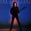 Обложка песни Satriani Joe - Flying In A Blue Dream аккорды