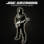 Обложка песни Satriani Joe - What Breaks A Heart аккорды