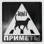 Обложка песни Серьга - Я - бурый медведь аккорды