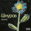 Обложка песни Сергей Шнуров - Нева аккорды