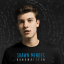 Обложка песни Shawn Mendes - Never Be Alone аккорды