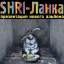 Обложка песни SHRI-Ланка - Половина аккорды
