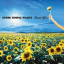 Обложка песни Stone Temple Pilots - All In The Suit That You Wear аккорды