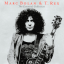 Обложка песни T.Rex - 20th Century Boy аккорды