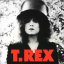 Обложка песни T.Rex - Main Man аккорды