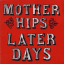 Обложка песни The Mother Hips - Do It On The Strings аккорды