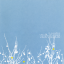 Обложка песни The Shins - One By One All Day аккорды