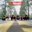 Обложка песни The Turtles - So Happy Together аккорды