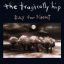 Обложка песни Tragically Hip - So Hard Done By аккорды