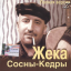 Обложка песни Жека - Выстрел аккорды